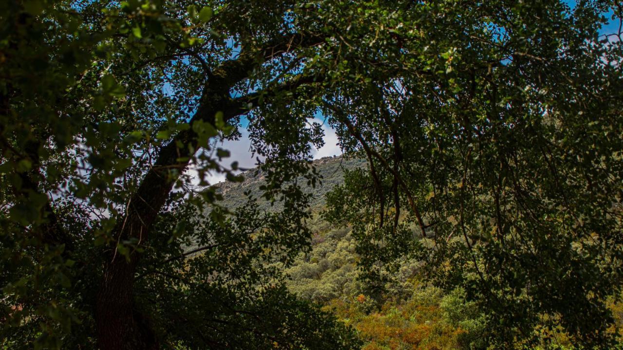 Casa Rural Valle De Los Molinos El Cristo del Espiritu Santo Εξωτερικό φωτογραφία